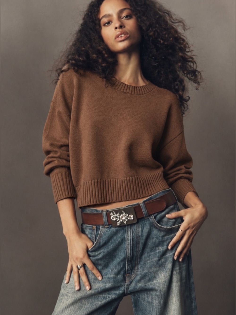 Everlane Preppy Brown Crewneck Sweater Ribbed Neckline and Sleeves SxL